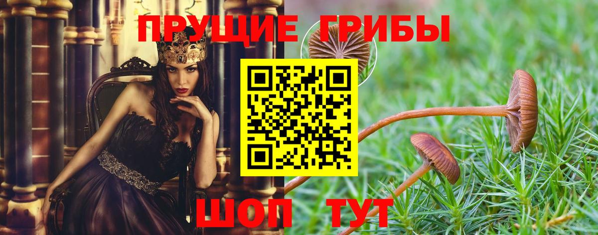 Псилоцибиновые грибы MAGIC MUSHROOMS Реутов