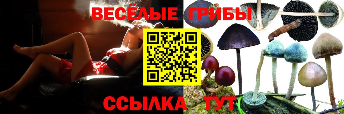 Реутов  Псилоцибиновые грибы GOLDEN TEACHER  Вход с VPN 